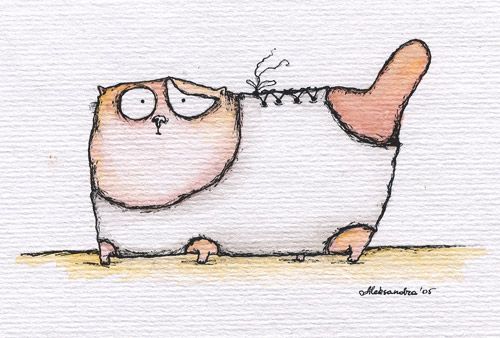 котики